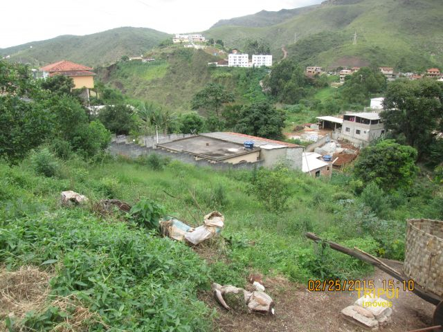 Foto 198